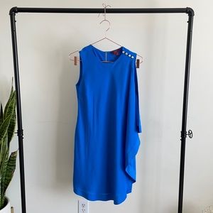 Ted Baker London “Bolty” Dress